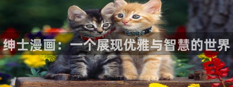 虫虫漫画免费漫画在线看漫画下载
