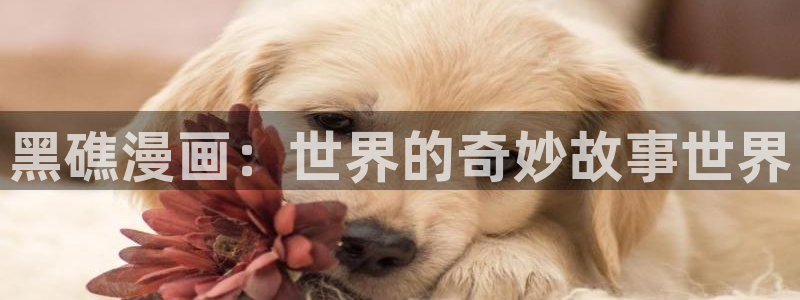 虫虫漫画免费漫画页面在线看漫画弹窗