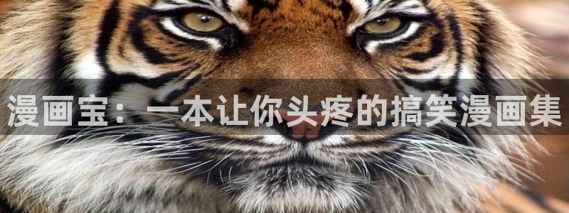 虫虫色漫：漫画宝：一本让你头疼的搞笑漫画集