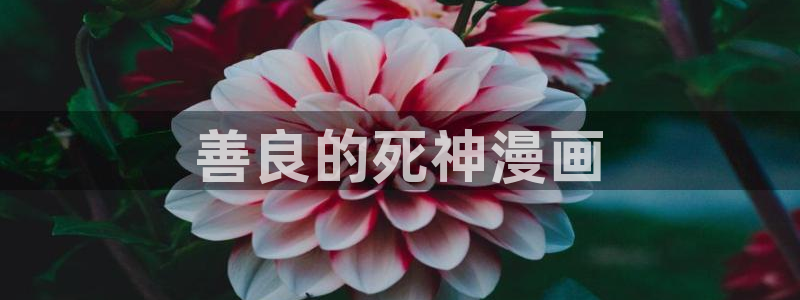 虫虫漫画登录页面免费漫画看漫画