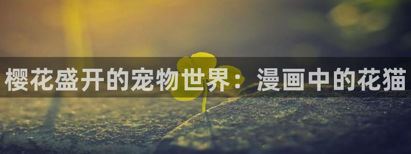 虫虫漫画正版入口在哪里：樱花盛开的宠物世界：漫画中的花猫