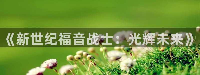 虫虫漫画韩漫入口：《新世纪福音战士：光辉未来》