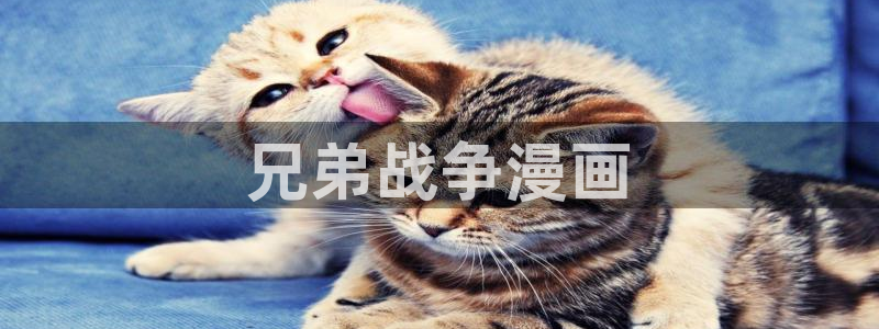 漫画虫虫漫画