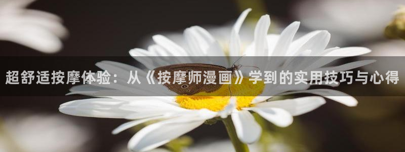 虫虫漫画网在线阅读免费