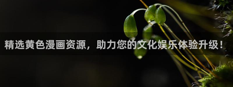 虫虫漫画怎么免费看
