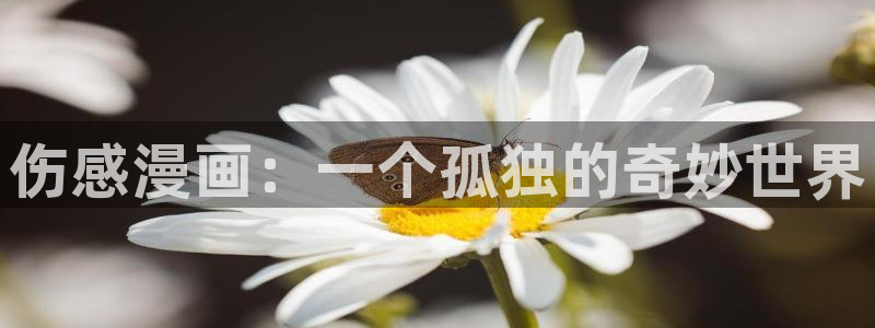 虫虫漫画韩