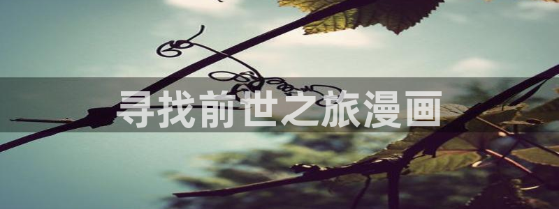 虫虫漫画猎天使魔女：寻找前世之旅漫画