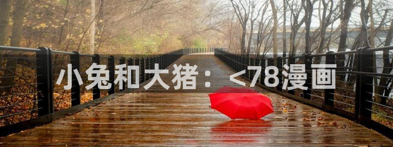 虫虫的动画片