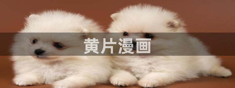 虫虫漫画在线观看阅读：黄片漫画