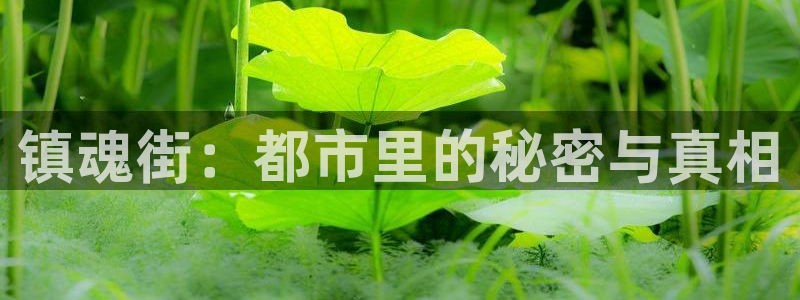 虫虫漫画在线观看免费漫画下拉式：镇魂街：都市里的秘密与真相