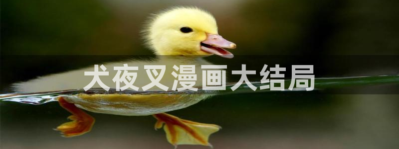 虫虫漫画秋蝉：犬夜叉漫画大结局