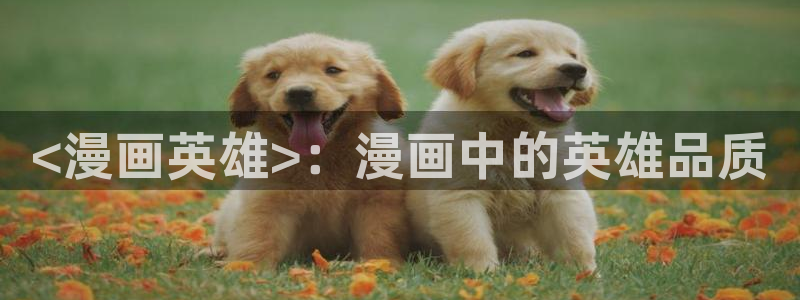 虫虫漫画地址：<漫画英雄>：漫画中的英雄品质